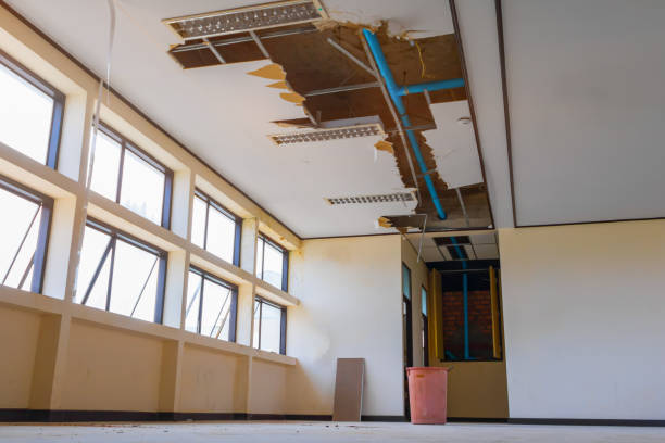 Best Basement water damage restoration  in Niantic, CT