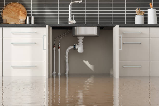 Best Water damage restoration process  in Niantic, CT