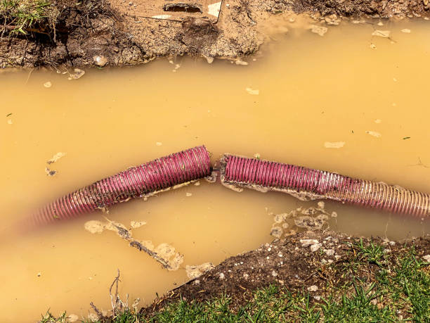 Best 24/7 water damage repair  in Niantic, CT