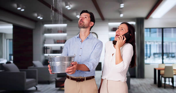 Best Water damage restoration services  in Niantic, CT